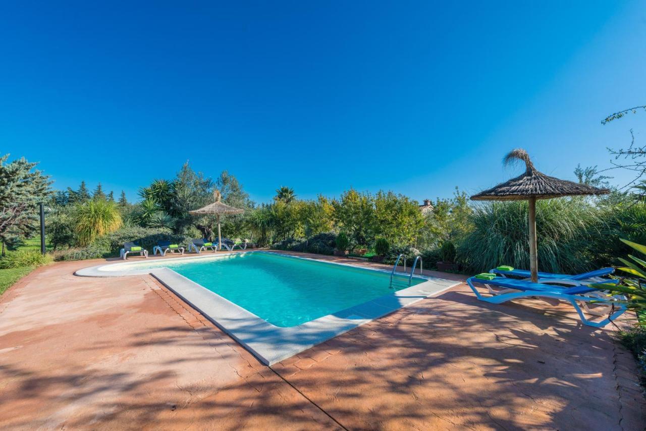 Cas Colector Villa *
